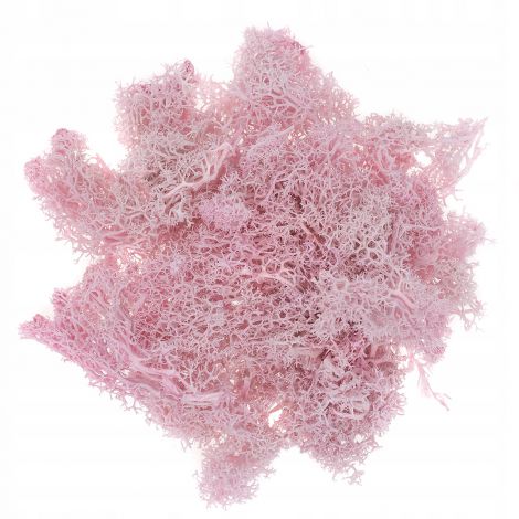 Mech naturalny dpCraft Różowy, 30g